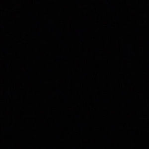 Meet your Posher, Ross